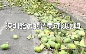 深圳路边的芒果可以吃吗