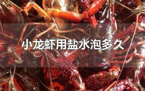 小龙虾用盐水泡多久