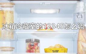 冰箱冷藏室的12345怎么调
