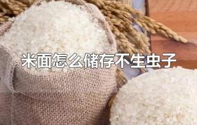 米面怎么储存不生虫子