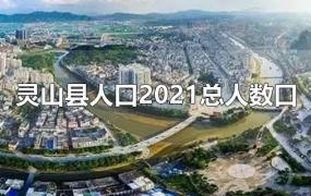 灵山县人口2021总人数口