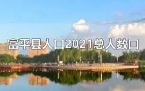 富平县人口2021总人数口