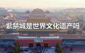 紫禁城是世界文化遗产吗