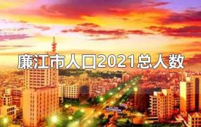 廉江市人口2021总人数