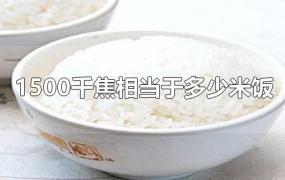 1500千焦相当于多少米饭
