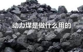 动力煤是做什么用的