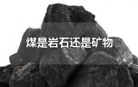 煤是岩石还是矿物
