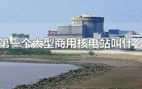 我国第一个大型商用核电站叫什么名字