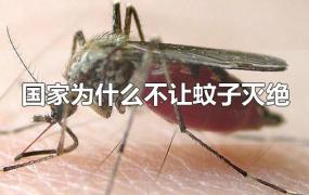 国家为什么不让蚊子灭绝