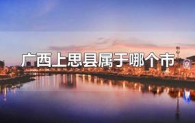 广西上思县属于哪个市