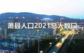 萧县人口2021总人数口