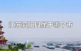 江苏泗阳县属于哪个市