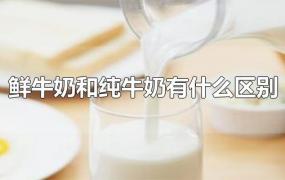 鲜牛奶和纯牛奶有什么区别