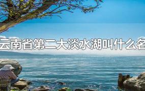云南省第二大淡水湖叫什么名字