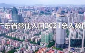 广东省常住人口2021总人数口