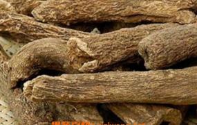 木香的功效与作用及药用价值