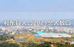 祁东县人口2021总人数口