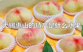无锡惠山的特产是什么水果