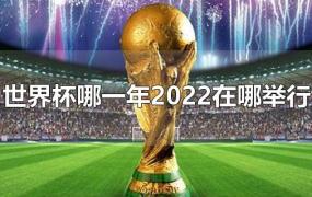 世界杯哪一年2022在哪举行