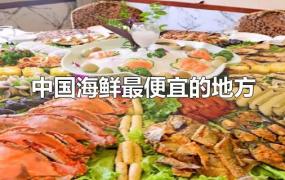 中国海鲜最便宜的地方