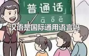 汉语是国际通用语言吗