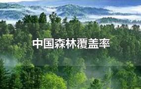 中国森林覆盖率