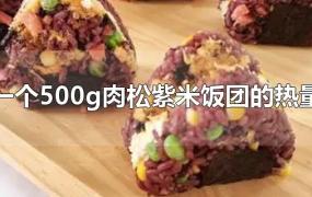 一个500g肉松紫米饭团的热量