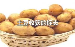 土豆收获的标志
