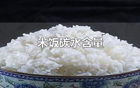 米饭碳水含量