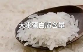 大米蛋白质含量