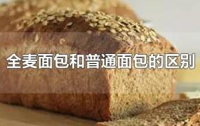 全麦面包和普通面包的区别