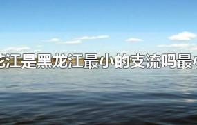 松花江是黑龙江最小的支流吗最小的