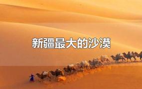 新疆最大的沙漠