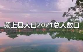 颍上县人口2021总人数口