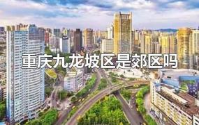 重庆九龙坡区是郊区吗