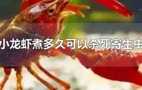 小龙虾煮多久可以杀死寄生虫