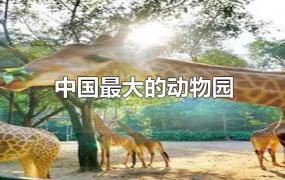 中国最大的动物园