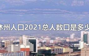林州人口2021总人数口是多少