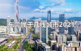 东莞属于几线城市2021