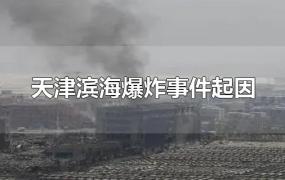 天津滨海爆炸事件起因