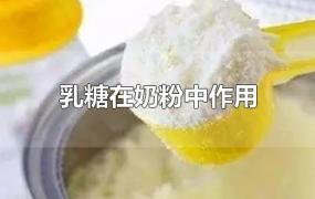 乳糖在奶粉中作用