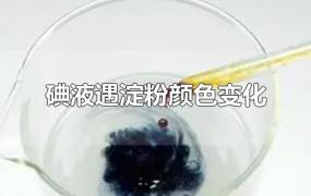碘液遇淀粉颜色变化