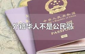 外籍华人不是公民吗