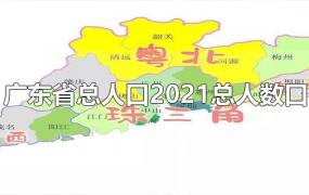广东省总人口2021总人数口