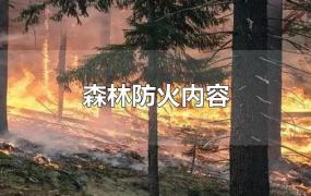 森林防火内容