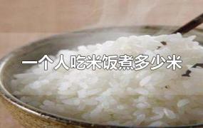 一个人吃米饭煮多少米