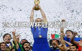 意大利世界杯冠军是哪一年