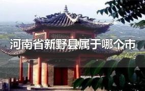 河南省新野县属于哪个市