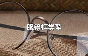 眼镜框类型