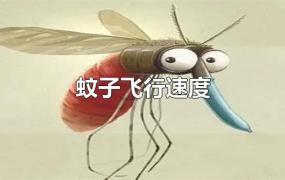 蚊子飞行速度